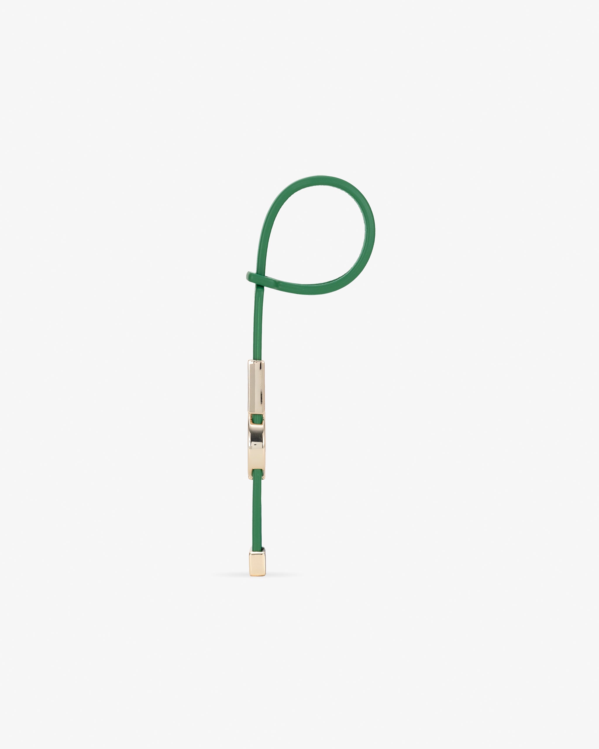 Luggage Tag in Grass Green with Personalised Hardware