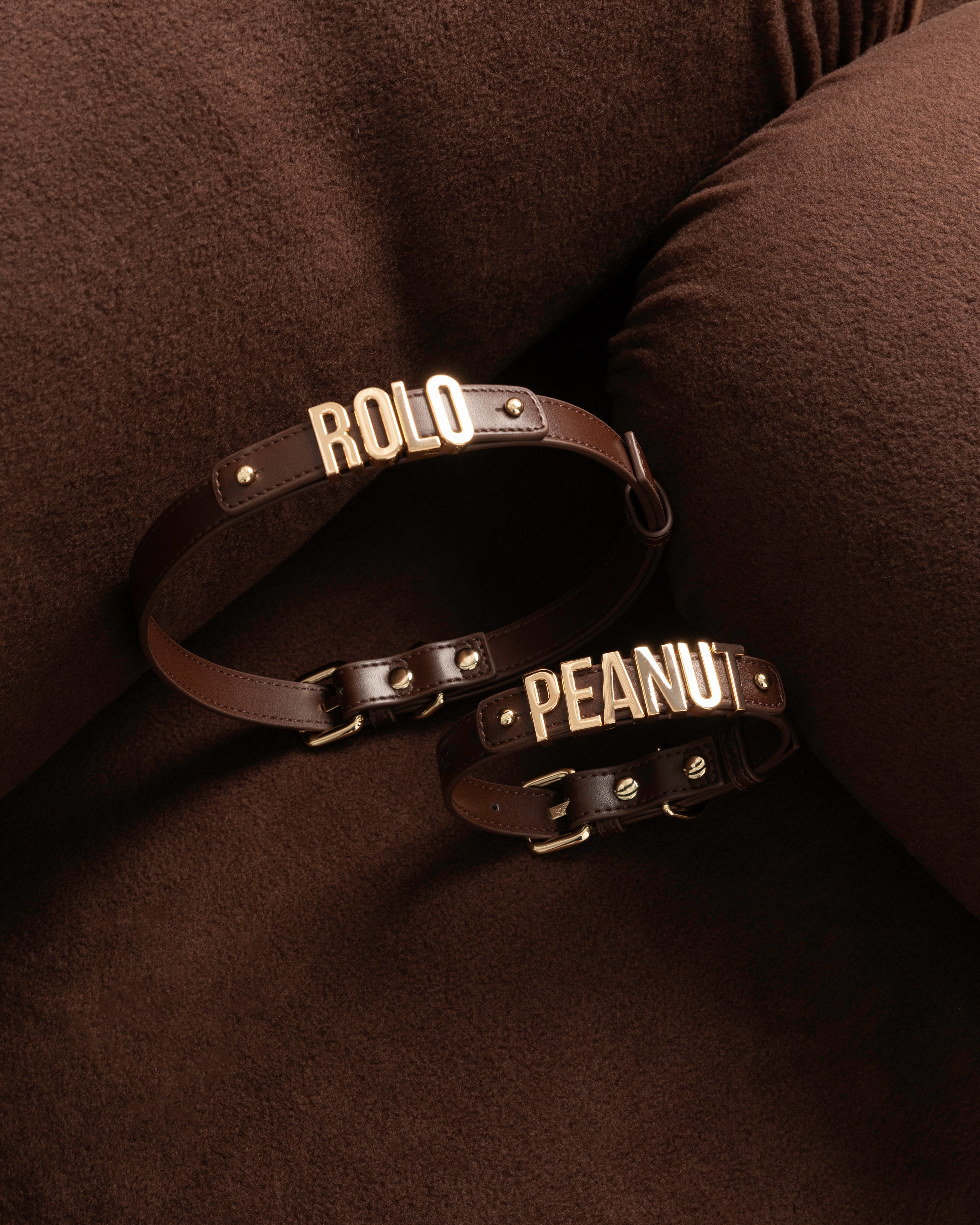 Dog Collar in Brown with Personalised Hardware